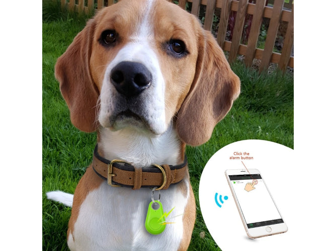 GPS Bluetooth Para Mascotas